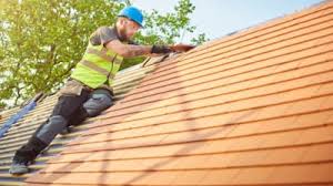 Best Roof Maintenance and Cleaning  in Burbank, IL